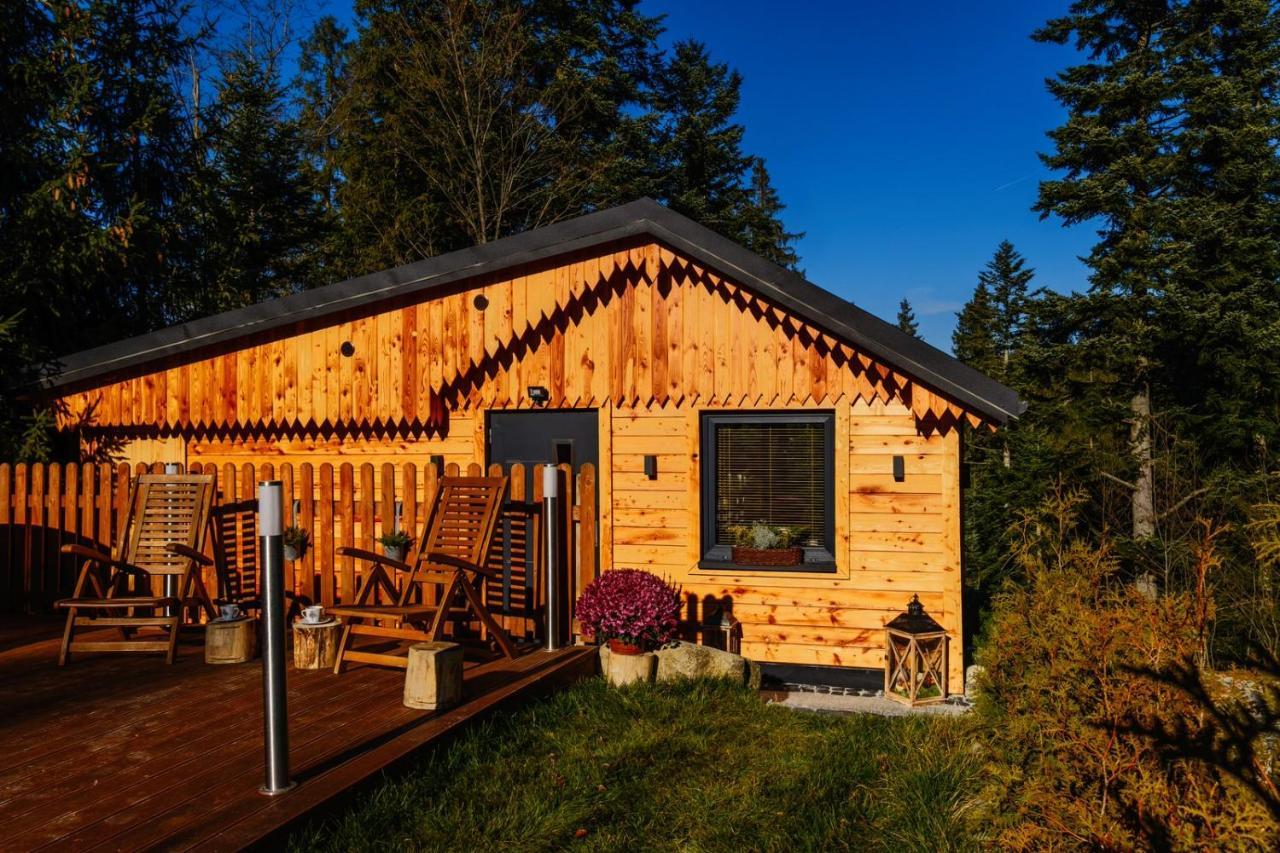 Domek Lesny Zakopane Dış mekan fotoğraf