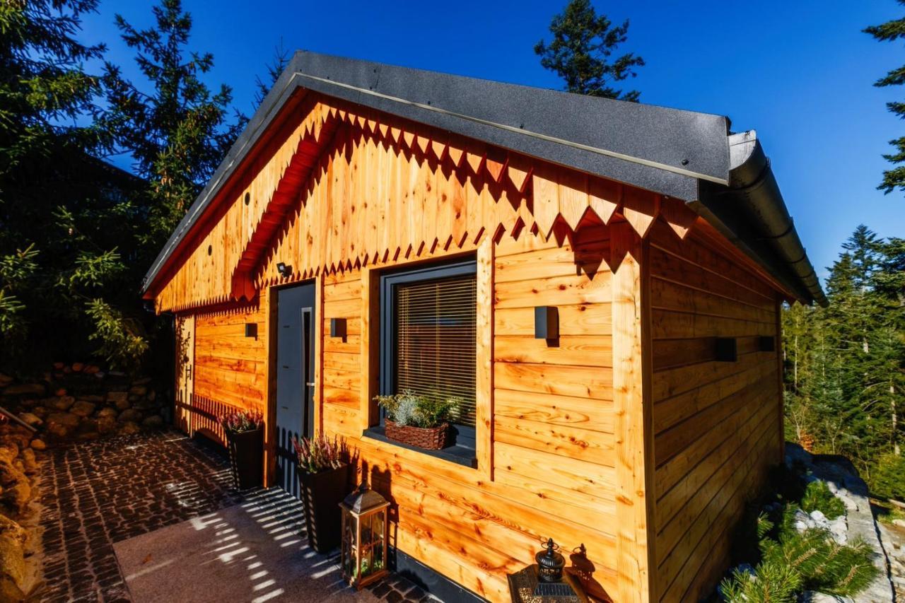 Domek Lesny Zakopane Dış mekan fotoğraf