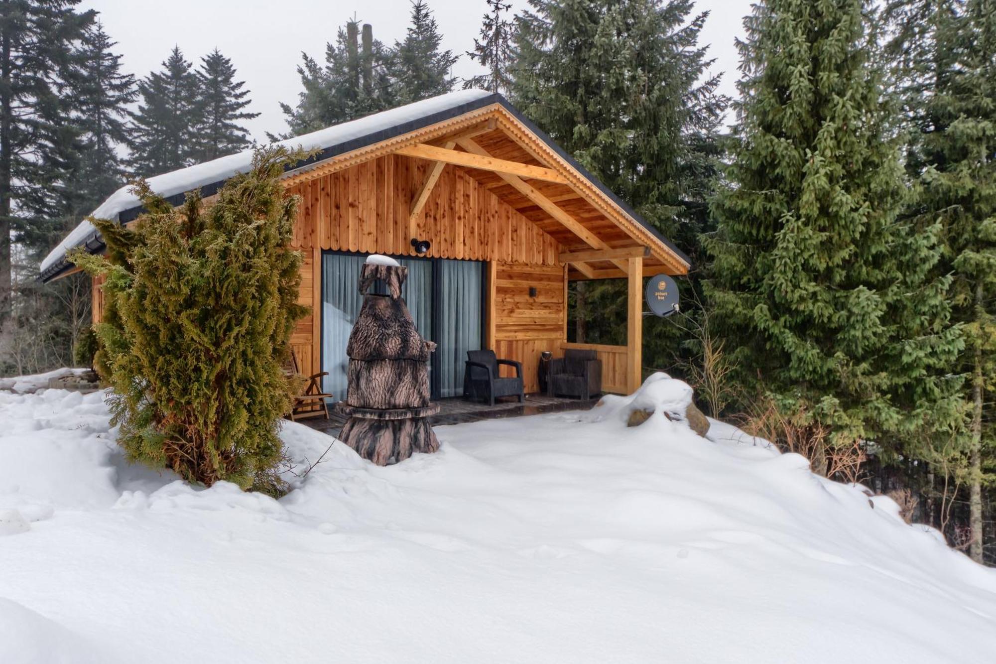 Domek Lesny Zakopane Dış mekan fotoğraf
