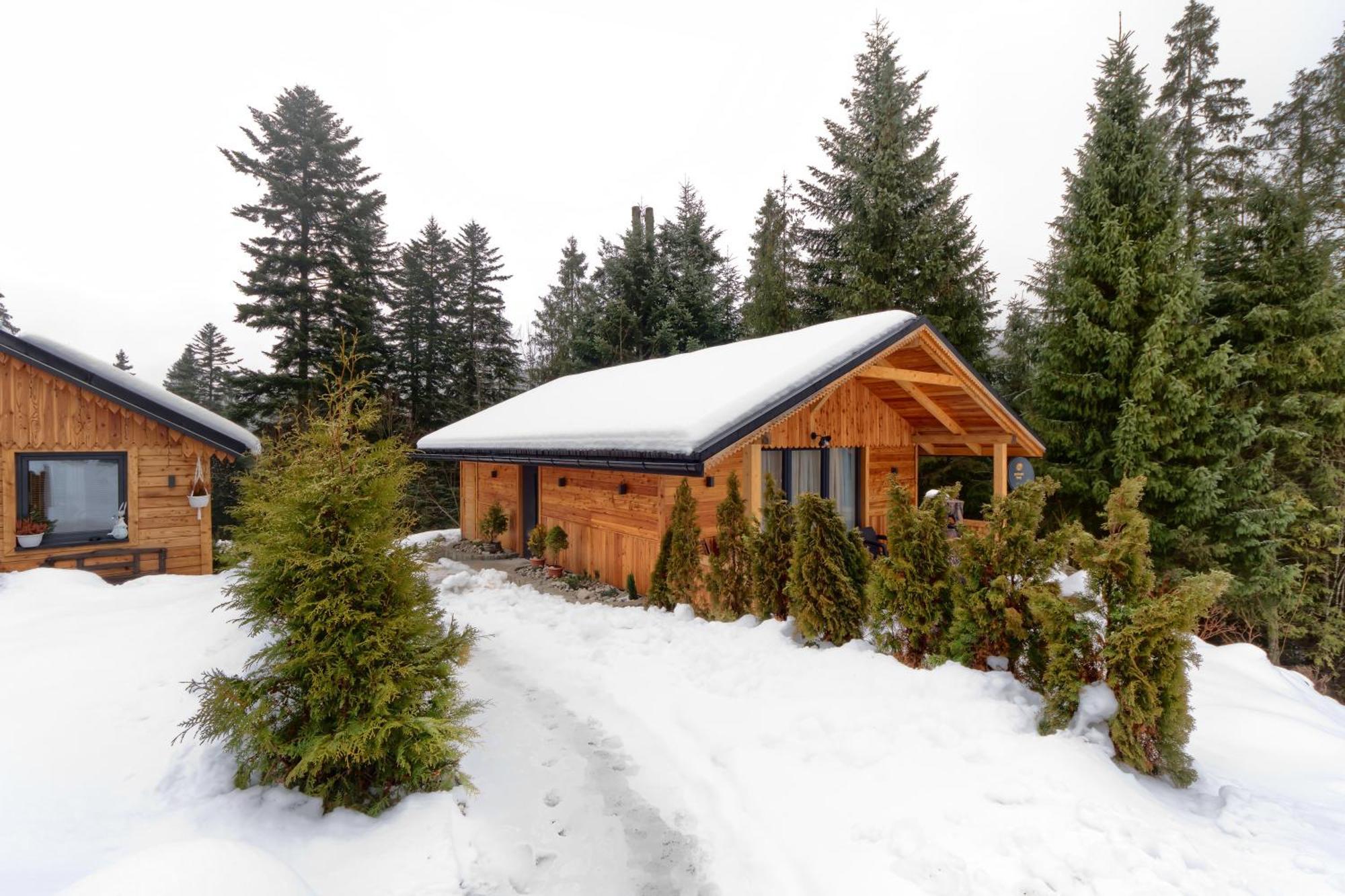 Domek Lesny Zakopane Dış mekan fotoğraf